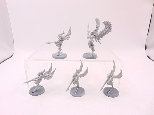 Swooping Hawks