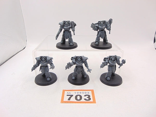 Cataphractii Terminators with Volkite Chargers and Power Mauls