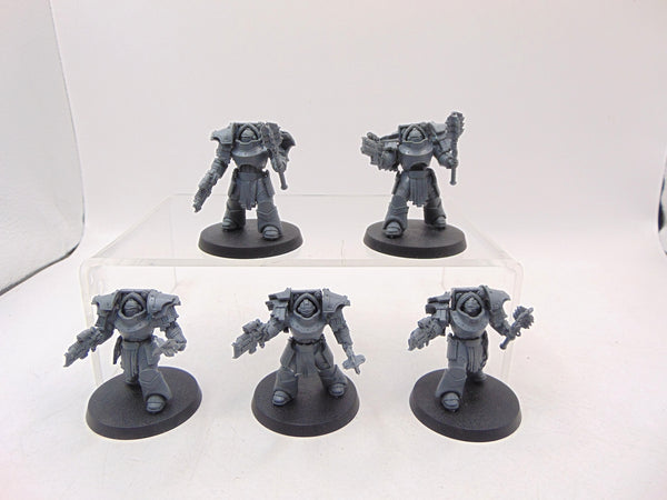 Cataphractii Terminators with Volkite Chargers and Power Mauls