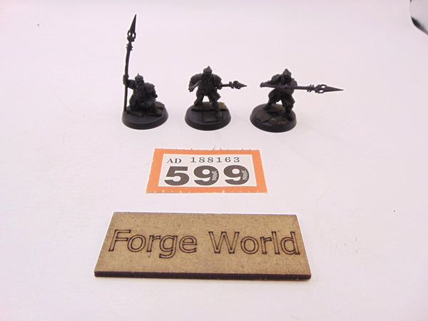 Iron Hills Dwarves with Spears