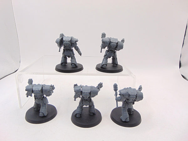 Cataphractii Terminators with Volkite Chargers and Power Mauls