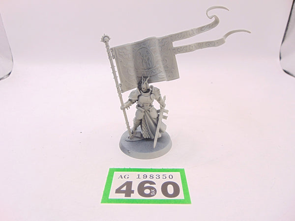Knight Vexillor with Banner of Apotheosis