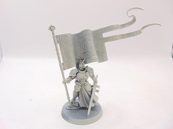 Knight Vexillor with Banner of Apotheosis
