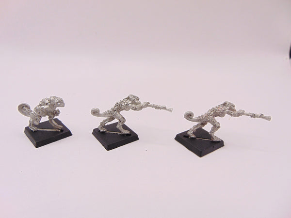 Chameleon Skinks