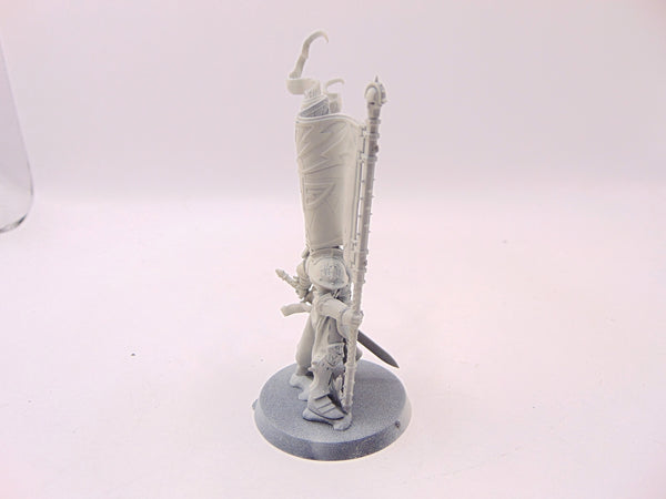 Knight Vexillor with Banner of Apotheosis