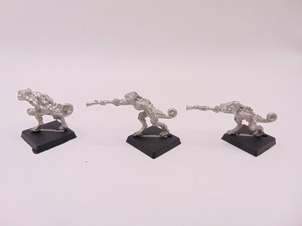 Chameleon Skinks