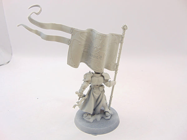 Knight Vexillor with Banner of Apotheosis