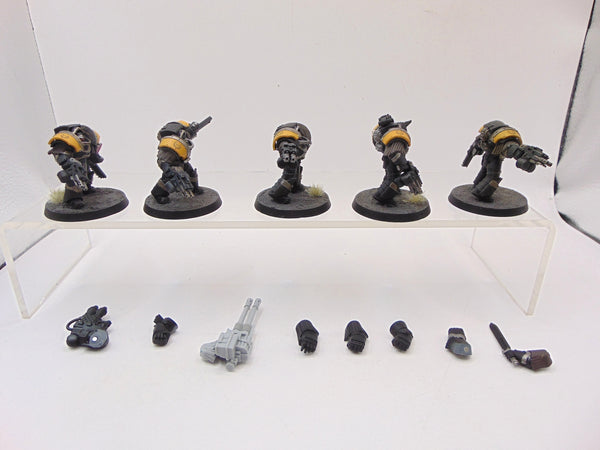 Cataphractii Terminator Squad