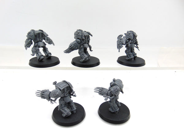 Wolf Guard Terminators