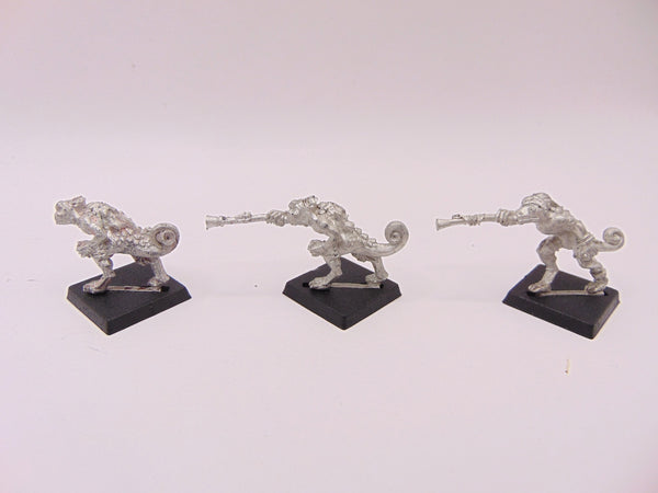 Chameleon Skinks