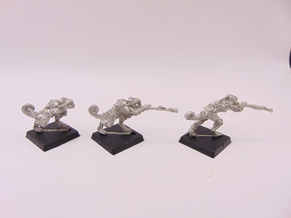 Chameleon Skinks