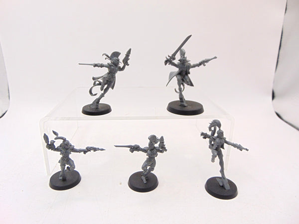 Harlequin Troupe