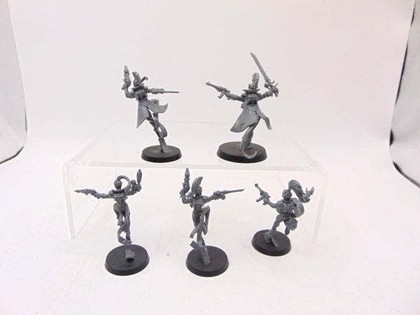 Harlequin Troupe