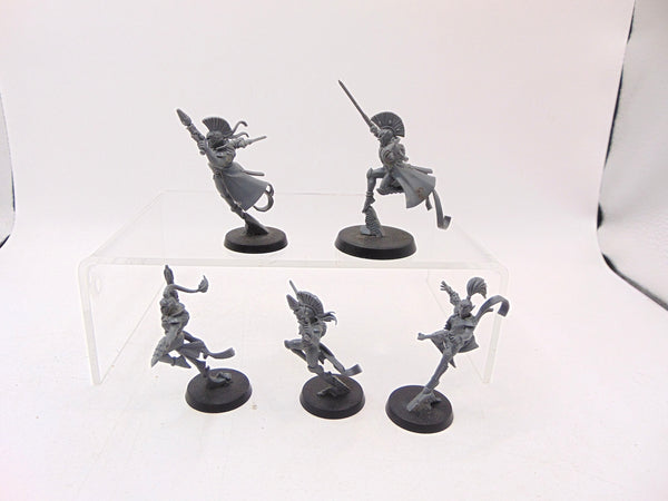 Harlequin Troupe