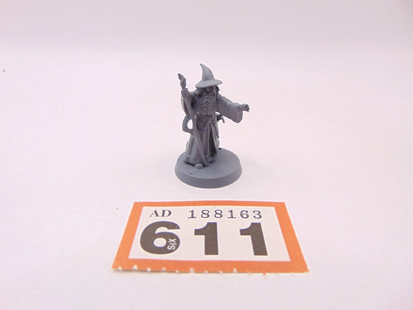 Gandalf the Grey Thorin's Company