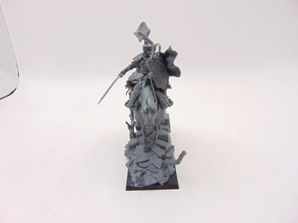 Freeguild Cavalier-Marshal