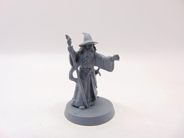 Gandalf the Grey Thorin's Company