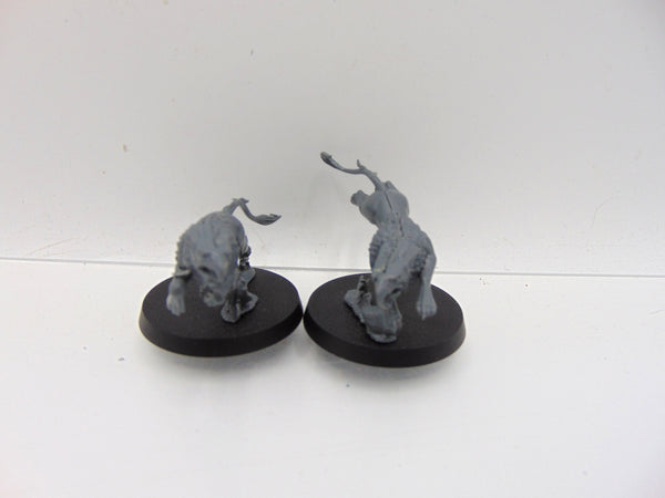 Knight Judicator with Gryph Hounds