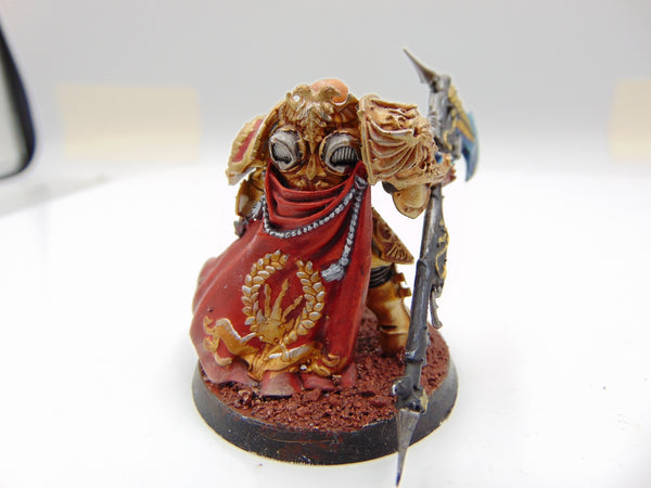 Custodian Guard Shield Captain