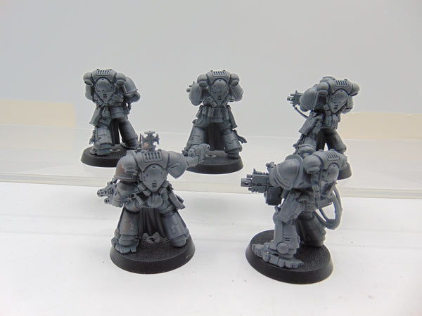 Sternguard Veterans