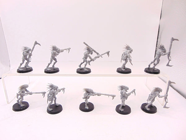 Kroot Carnivores