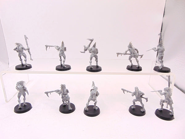 Kroot Carnivores
