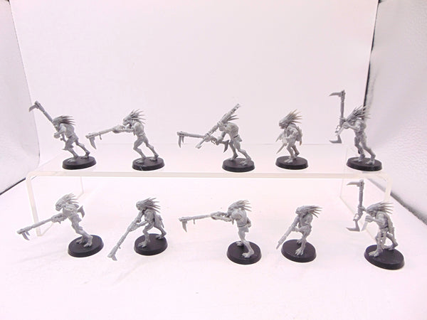 Kroot Carnivores