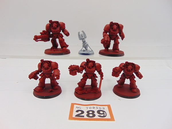 Terminator Squad