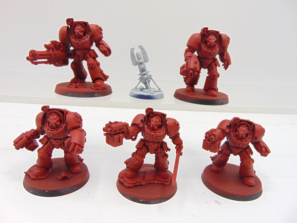 Terminator Squad