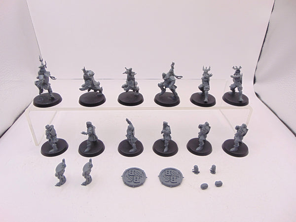 Bretonnian Blood Bowl Team: The Brionne Barons