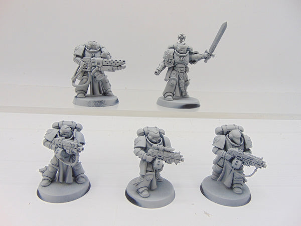 Sternguard Veterans