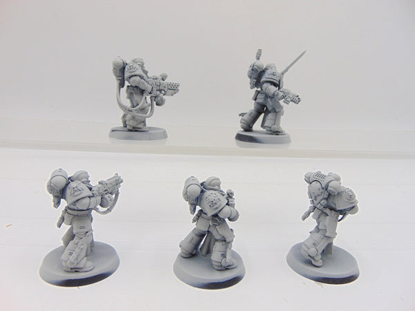 Sternguard Veterans