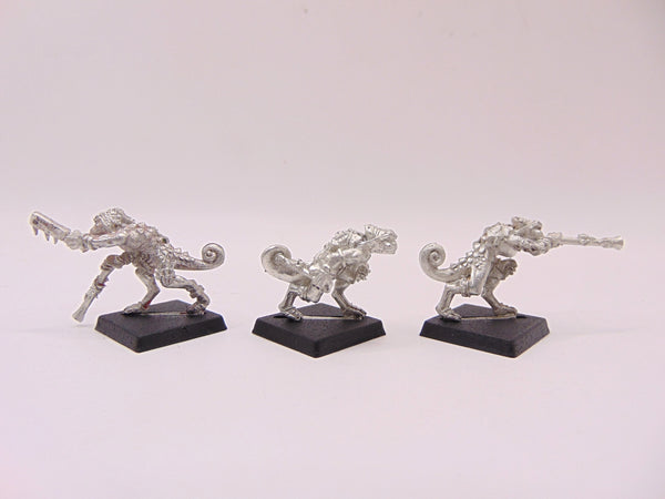 Chameleon Skinks