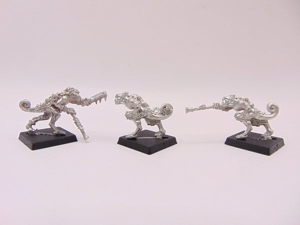 Chameleon Skinks