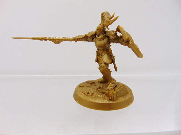 Vindictor