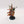 Archon