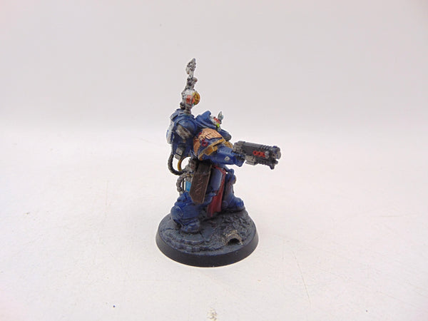 Apothecary Biologis