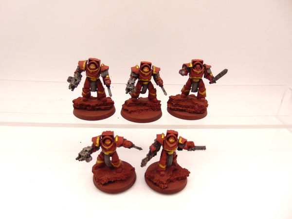 Cataphractii Terminator Squad