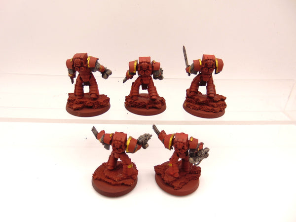 Cataphractii Terminator Squad
