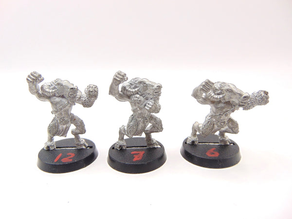 Blood Bowl Beastmen