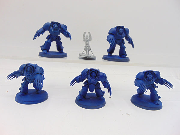 Terminator Assault Squad