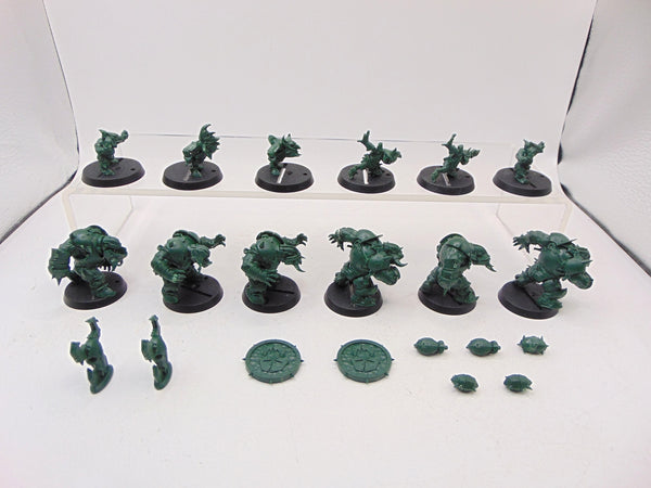 Black Orc Blood Bowl Team: The Thunder Valley Greenskins