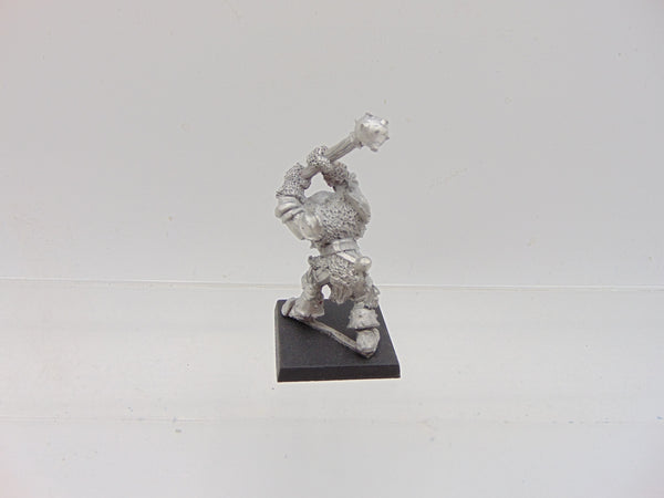 Chaos Warrior CH3 Stro'Knor Macekiller