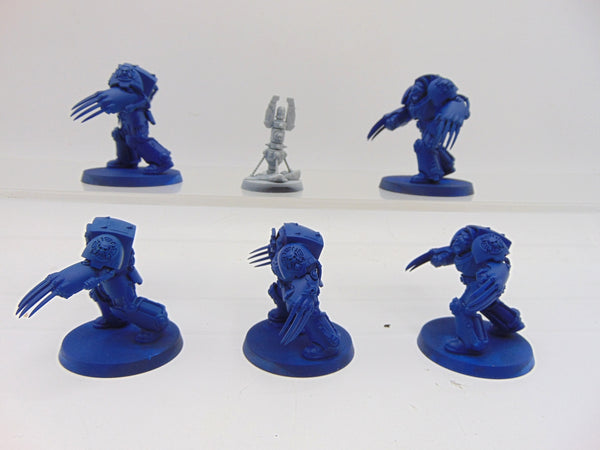 Terminator Assault Squad