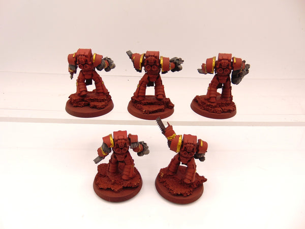 Cataphractii Terminator Squad