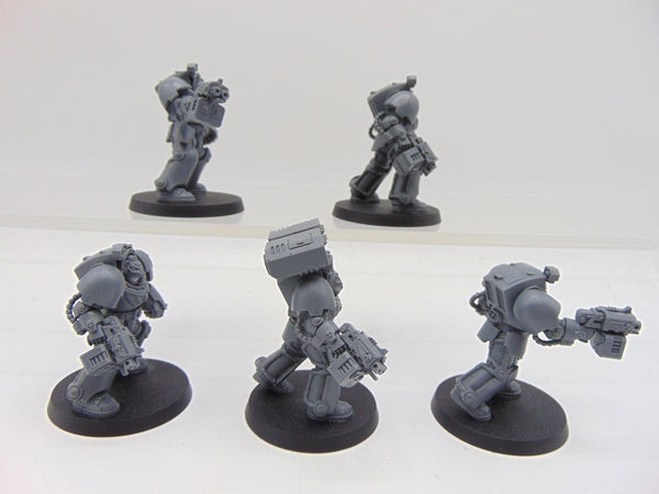 Terminator Squad