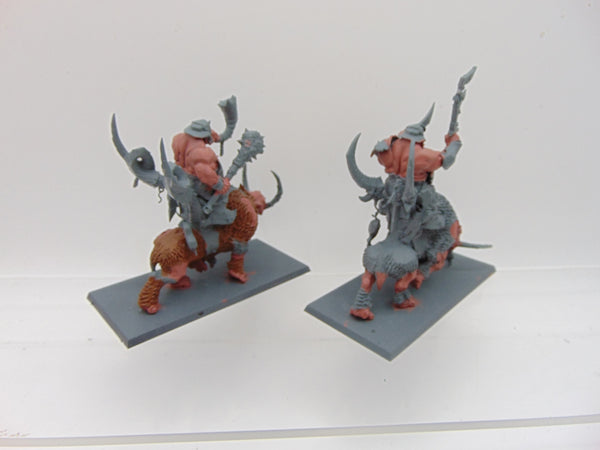 Mournfang Cavalry Pack