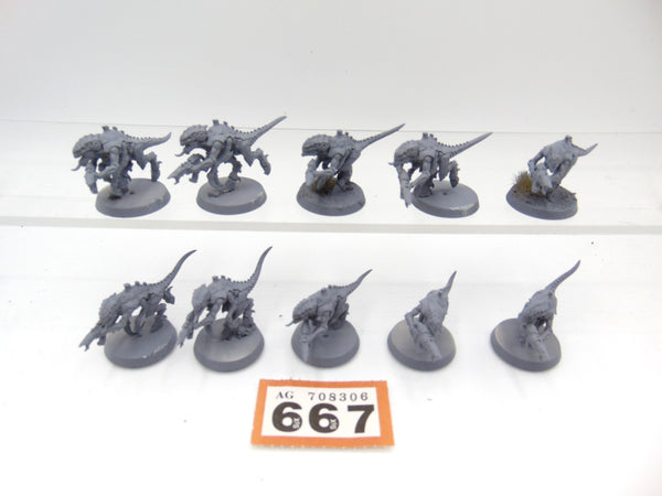 Termagants