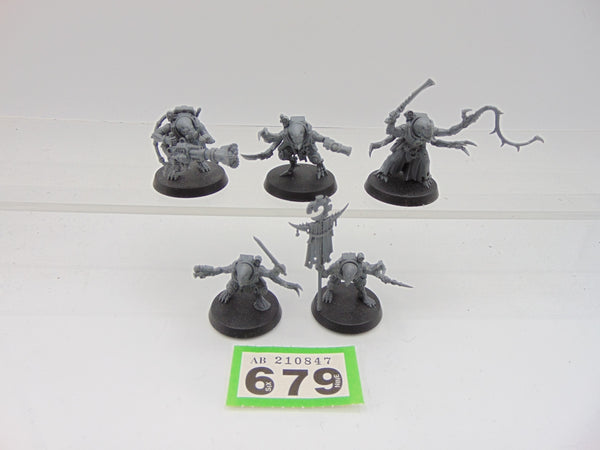 Acolyte Hybrids