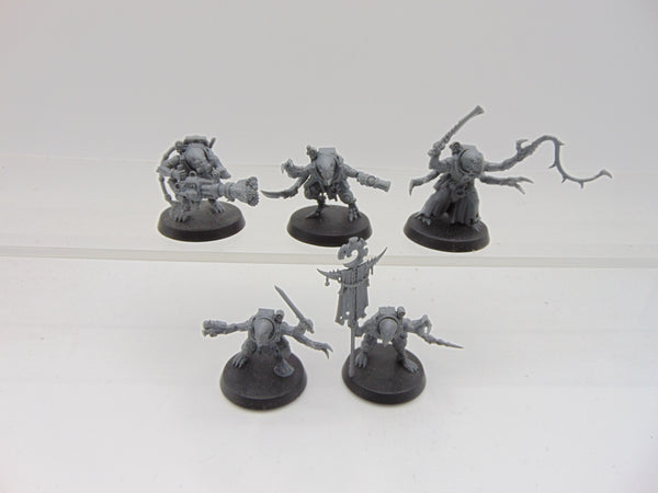 Acolyte Hybrids